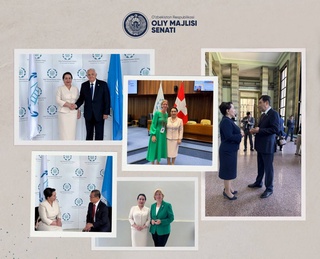 The President of the Senate in Geneva discussed issues of regional stability and global partnership