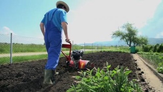 Tomorqa yer egalariga kredit ajratiladi