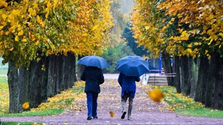 Weather forecast for November 30th