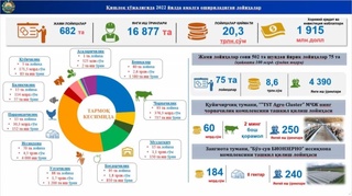 Toshkent viloyatida 3,1 ming gektar bog', 4,2 ming gektar tokzorlar to'liq yangilanadi