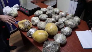 DXX Toshkent va Surxondaryoda 95 kg giyohvand moddalarni musodara qildi