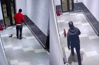 Бўстонлиқда ҳайвонга нисбатан шафқатсиз муносабат ҳолати ўрганилмоқда