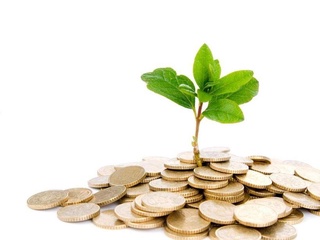 Қашқадарёда томчилатиб суғориш учун субсидия ажратилади