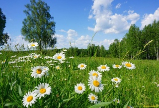 Weather forecast for the day of August 18