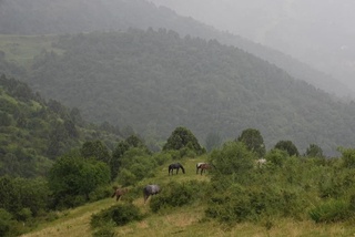 Sayohat madaniyati: Bo‘stonliq tumaniga press-tur tashkil etildi