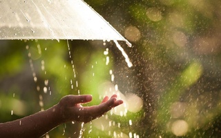 Weather forecast for May 18