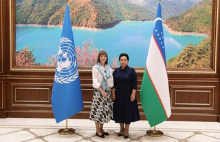 БМТ Тараққиёт дастури Ўзбекистондаги лойиҳаларини фаол давом эттиради