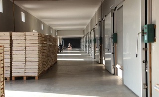 Тадбиркорнинг мулкини ўзлаштирган фирибгарлар фош этилди