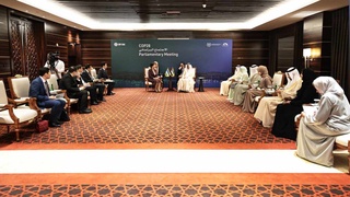 Олий Мажлис Сенати ҳамда БАА Федерал миллий кенгаши ҳамкорлиги амалий мазмун билан бойитилади