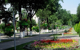 Uzhydromet: "Only three percent of the territory of Tashkent is covered with green spaces"