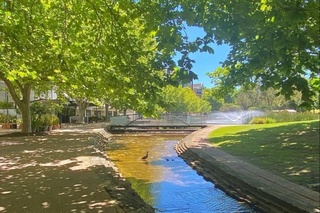 Июль ойининг илк кунлари баъзи жойларида чанг-тўзонли шамол кузатилади