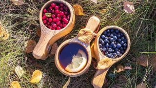 Diyetolog beshta tabiiy antibiotikning nomini aytdi