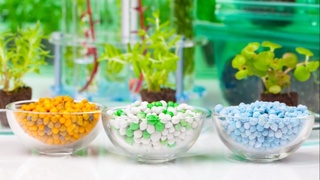 Вносятся изменения в Положение «О порядке проведения испытаний и регистрации средств защиты растений»