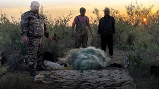 Noqonuniy baliq ovlash natijasida tabiatga 1 milliarddan ortiq zarar yetkazildi