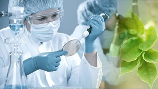 В Узбекистане будет создан «Кластер биотехнологий»