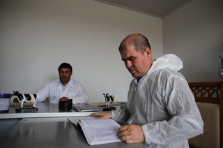 Самарқанд туманида чорвачиликда наслчилик иши ривожланмоқда