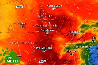 Эртага кундуз куни республиканинг баъзи ҳудудларида ҳаво ҳарорати +38 даражага кўтарилади