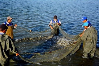 В Узбекистане утверждены Правила рыболовства в естественных водоемах