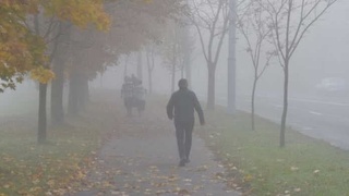 Синоптиклар дам олиш кунлари қандай об-ҳаво кузатилишини маълум қилди