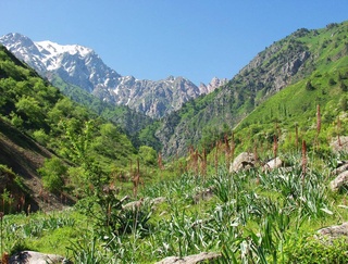 Прогноз погоды на 21 июля