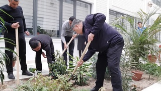 “Яшил макон” киши дилини қувнатиб, ҳаво софлигини таъминлайди