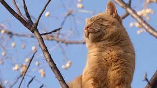 Неделя ожидается теплой и относительно сухой