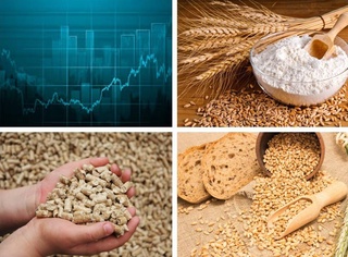 На «Узбекской республиканской товарно-сырьевой бирже» снизились цены на муку, пшеницу и комбикорм