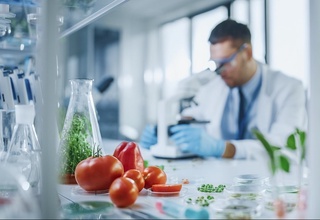 Rossiyalik olim oʻzbekistonlik olimlar yaratayotgan “pomidor-vaksina” boʻyicha fikr bildirdi