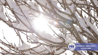 Uzhydromet: by the middle of the week, the daytime temperature will rise to 2 degrees Celsius