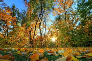 Weather forecast for November 1st