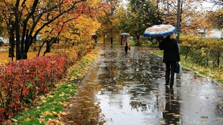 Weather forecast for November 5th