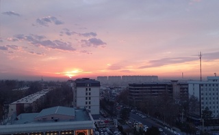 2025 yil Toshkent tarixidagi eng issiq yil sifatida qayd etildi