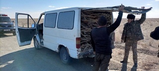 Саксовул буталарини рухсатсиз синдирган фуқарога жарима солинди