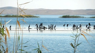 Водохранилища Тудакуль и Куюмазар вошли в Рамсарскую конвенцию