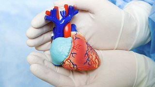 Аудандараралық қосымша күрделі және өткір қан-тамыр аурулары орталығы  құрылады