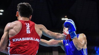 Uzbekistan Boxing Championship starts in Tashkent