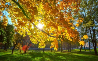 Weather forecast for October 28