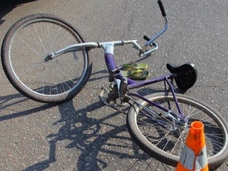 Velosiped yoki ulovli aravani boshqarib boruvchi shaxs ham mastlik boʻyicha tekshirilishi mumkinmi?