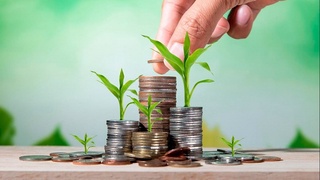 Агросубсидия олиш тартиби белгиланди