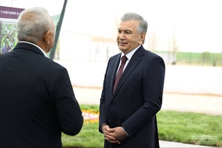 Дар маҳаллаи Лалмикор буттамеваҳои дар бозоргир парвариш карда мешаванд