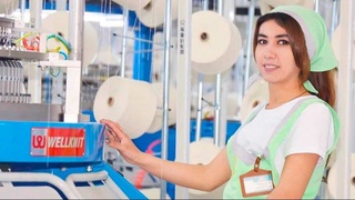 Инновации в малом бизнесе: перспективы развития