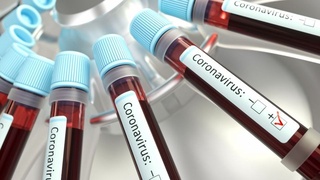 Найдены эффективные антитела против коронавируса