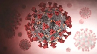 Икки ой мобайнида 17 та жиҳати ўзгарган янгича штамм