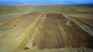 В Сурхандарьинской области осваиваются засушливые земли для выращивания картофеля