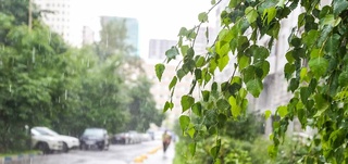 Weather forecast for April 7