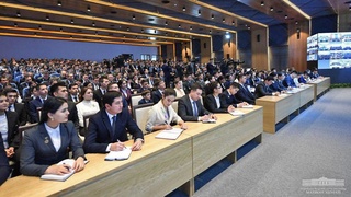 Ёшлар ишлари агентлиги тўғрисидаги низом тасдиқланди