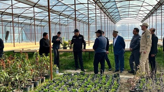 В Алмазарском районе столицы стартовали работы в рамках общенациональной акции «Яшил макон»