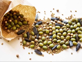 Республикада 2021 йил ҳосили учун 23 минг тоннадан зиёд полиз экинлари уруғлари етишмаслиги аниқланди