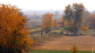 Дам олиш куни ҳаво ҳарорати пасаяди