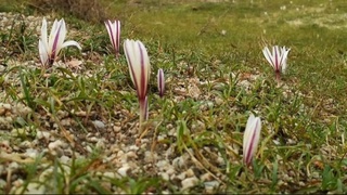 Ҳафта давомида ҳаво ҳарорати +22 даражагача кўтарилади